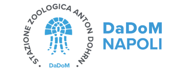 DaDoM